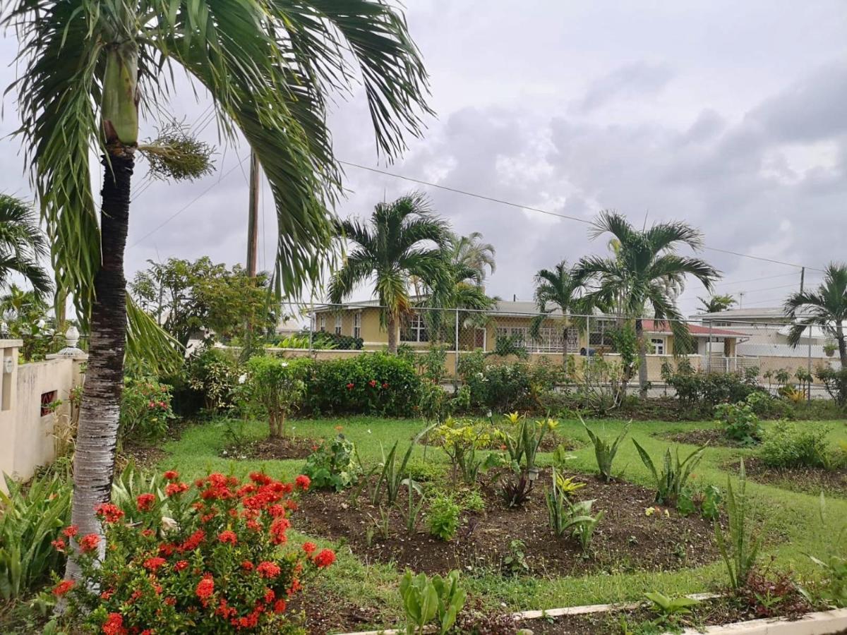 Ventnor House Apartments Бриджтаун Екстериор снимка